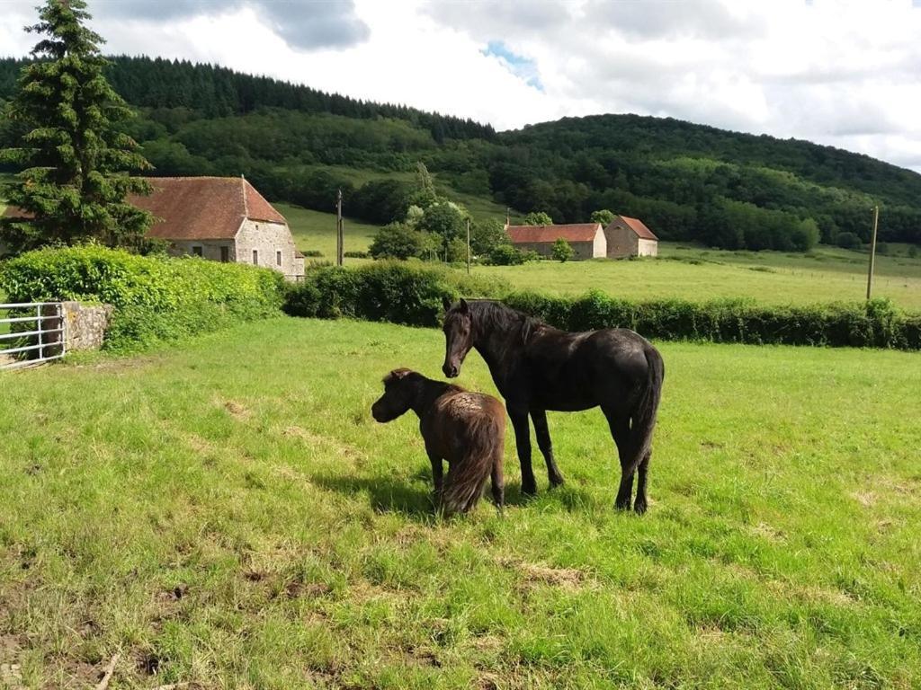 Gite Les Aubues Lormes Exteriör bild